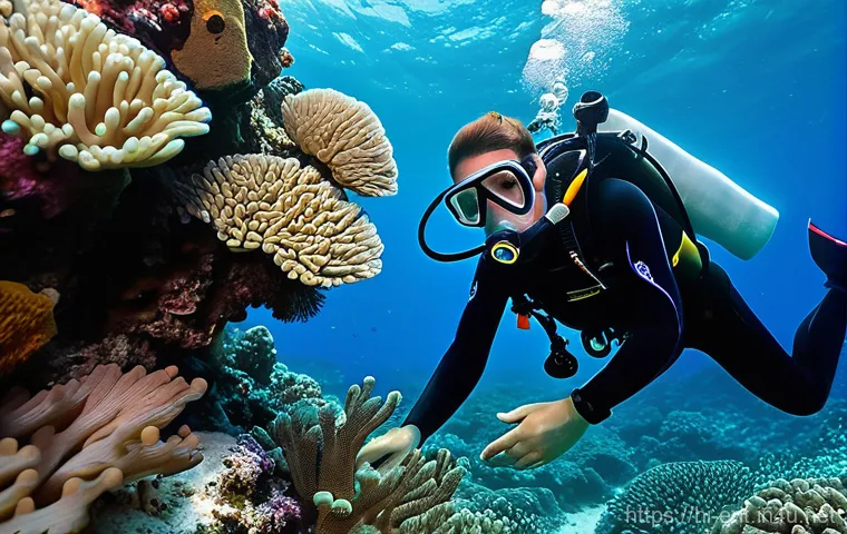 에리트레아 해양 보호 - A breathtaking, high-definition underwater scene showcasing the vibrant, untouched coral reefs of Er... 에리트레아 해양 보호 - A breathtaking, high-definition underwater scene showcasing the vibrant, untouched coral reefs of Er...